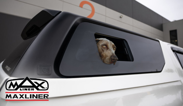 Hundefenster für Maxliner Venture Hardtop